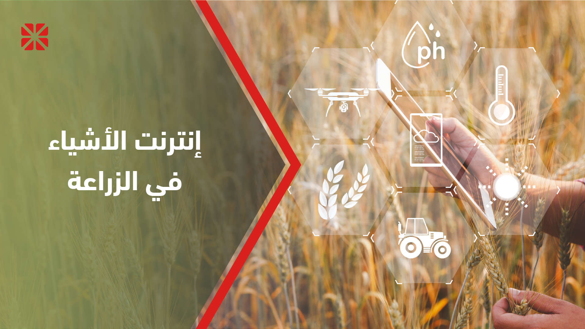 إنترنت الأشياء في القطاع الزراعي